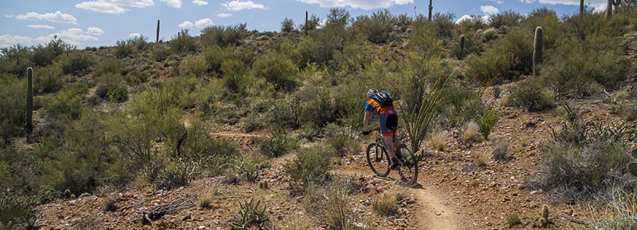 Mountain biking on Black Canyon National Recreation Trail
