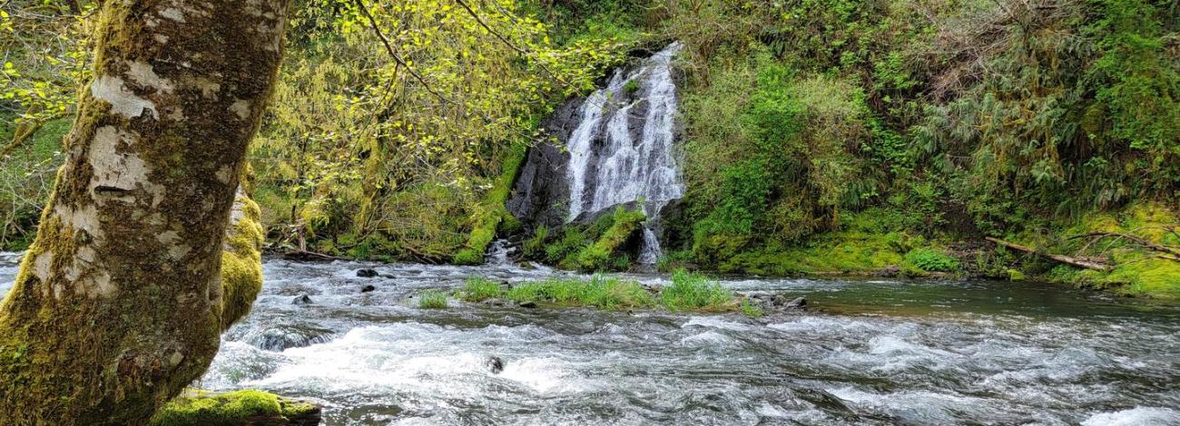 Alder Glen waterfall view from campsite 9