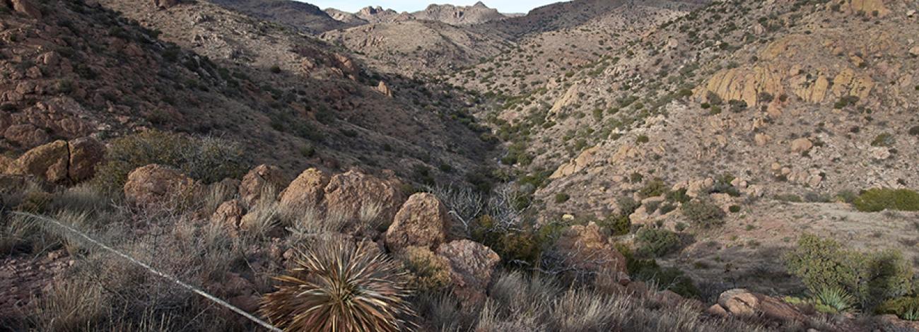 Baker Canyon Wilderness Study Area landscape