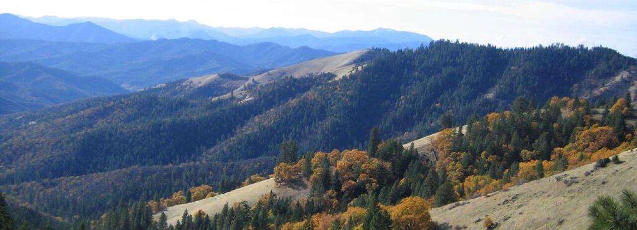View from the Jack-Ash Trail, from Anderson Butte looking westerly.