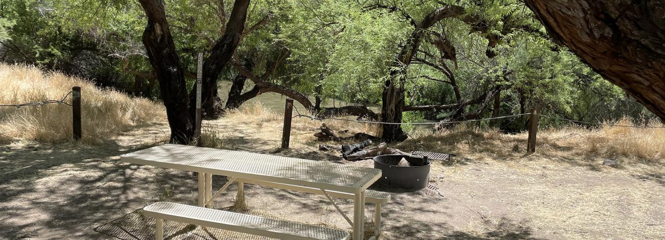 Campsite