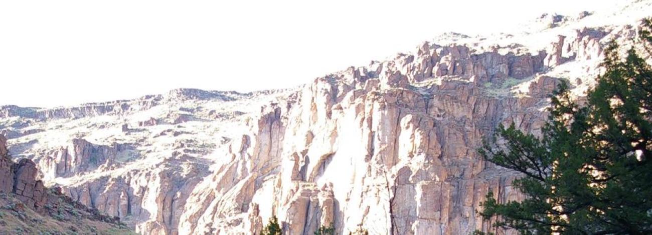 Bruneau-Jarbidge Rivers Wilderness Area
