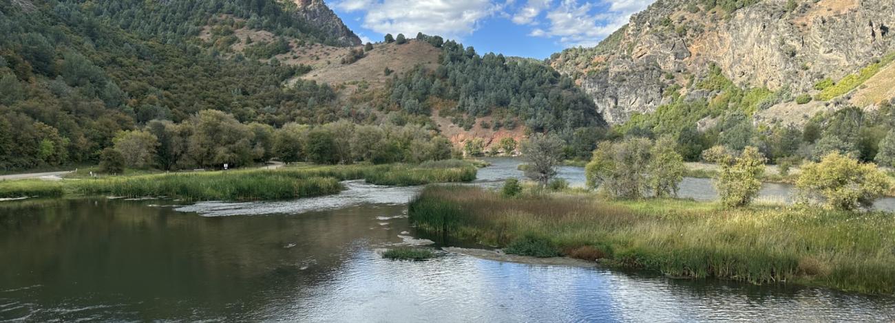 Redpoint Campground area