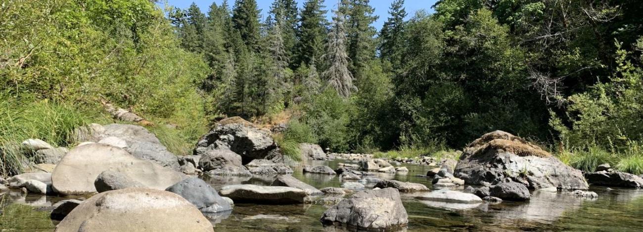 Sixes River from the Campground