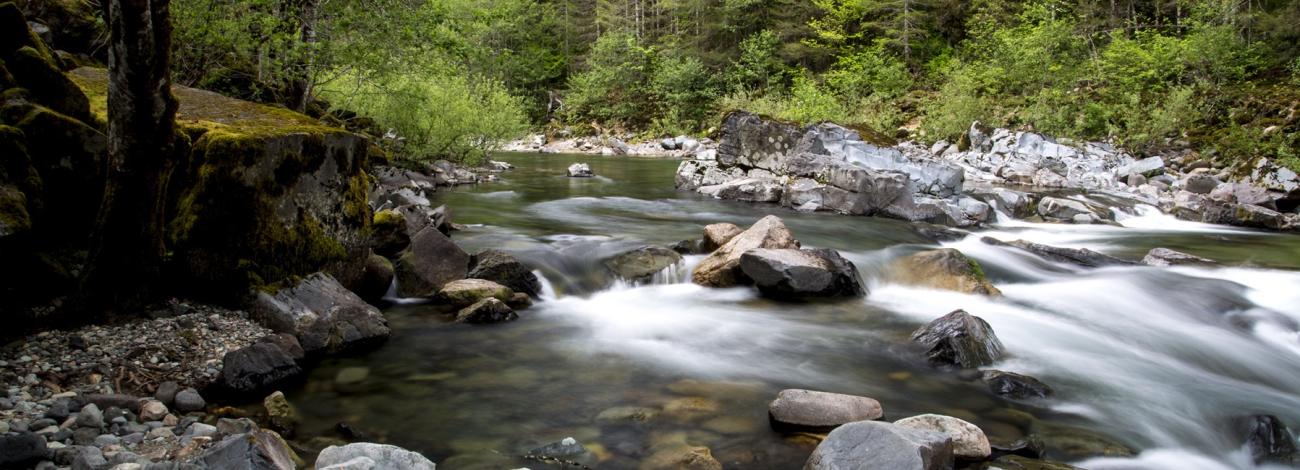 Quartzville Creek Wild and Scenic River