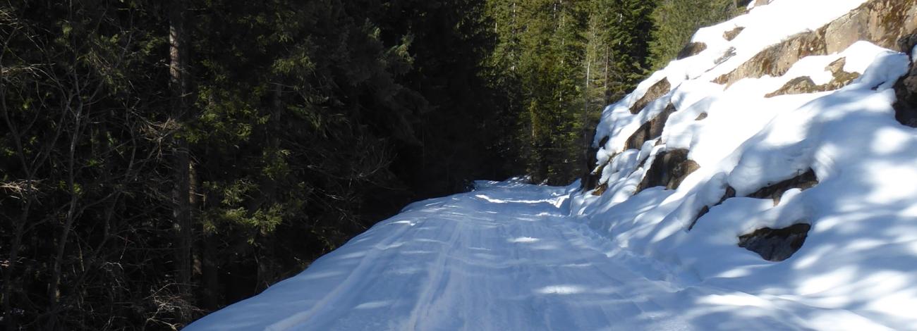 Snowy Red Marble Road in the North Huckleberry Mountains