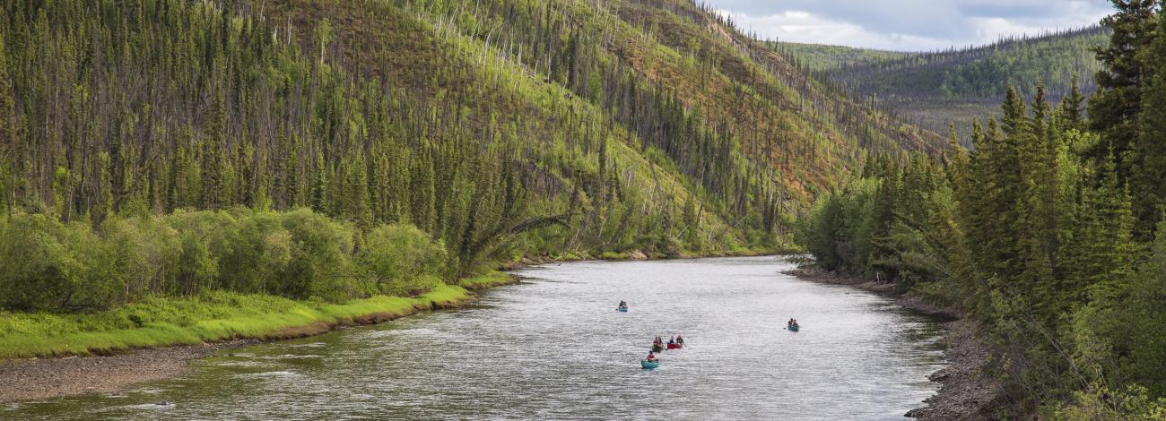 Fortymile Wild and Scenic River