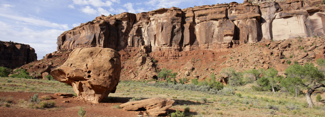 Dominguez Canyon Wilderness