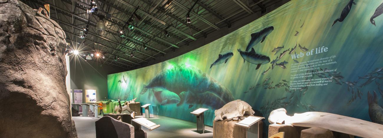 View of interior of an interpretive center featuring exhibits, display, and signs