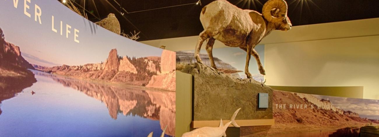 UMRBNM Interpretive Center