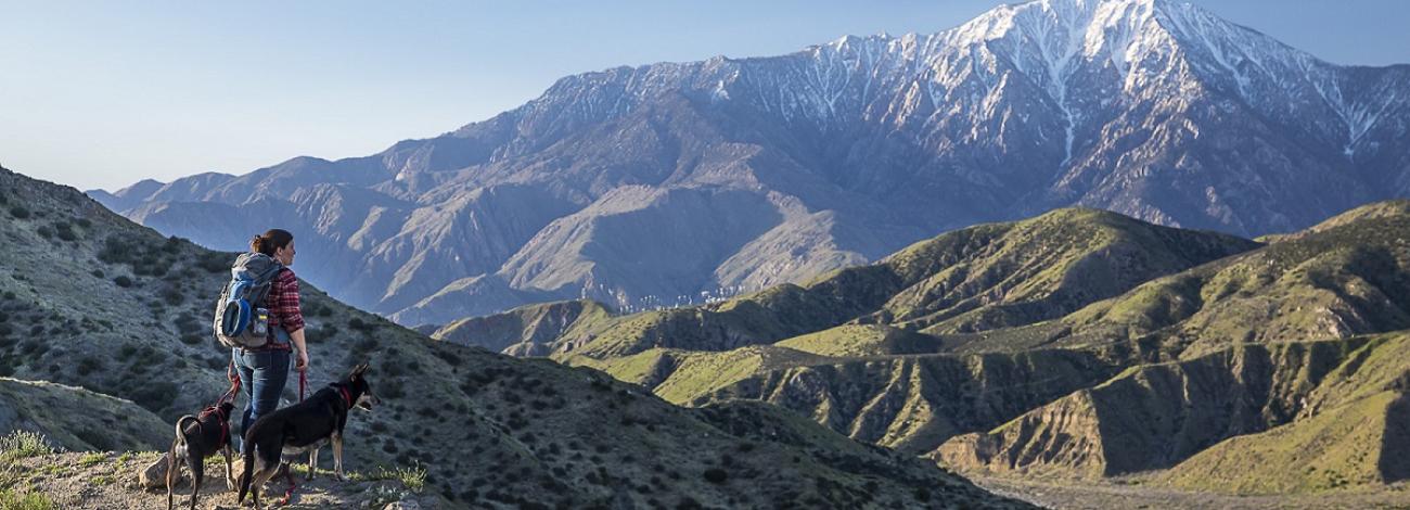 Hiker with two dogs looks at snow capped mountain. Photo by Bob Wick/BLM.