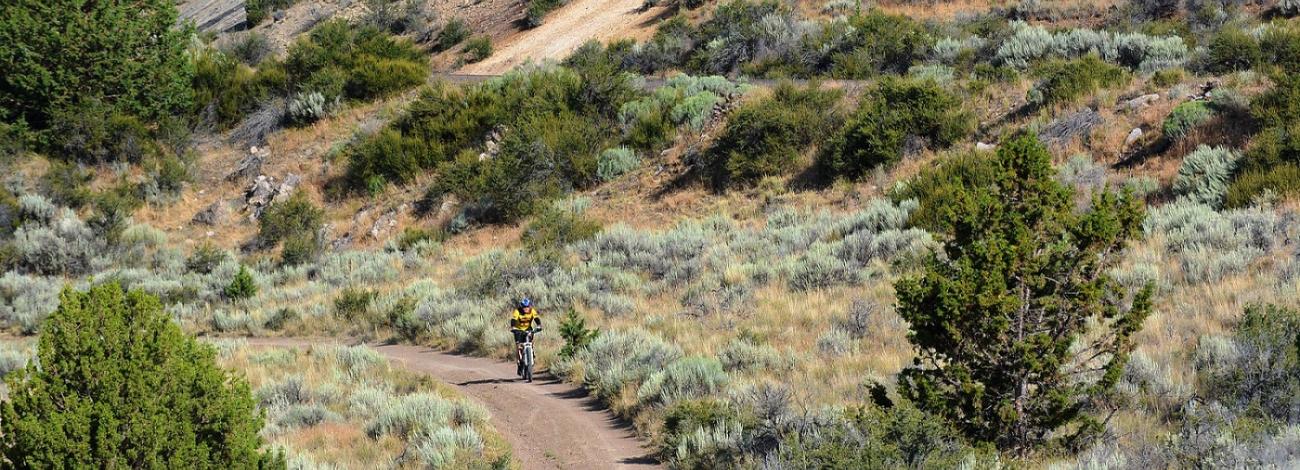 Radar Hill OHV Area