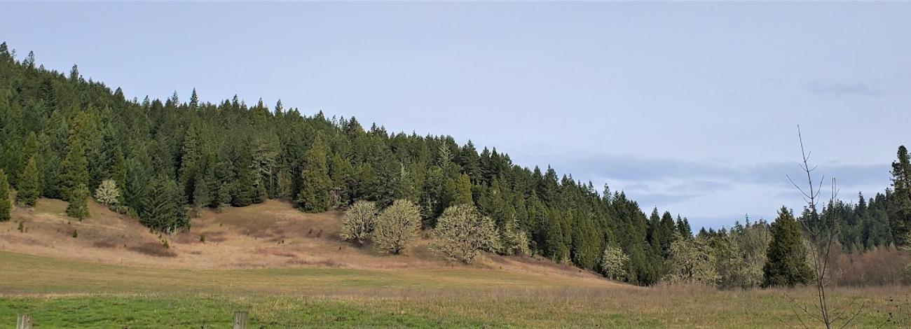A contemporary view of acreage in the Letitia Creek watershed
