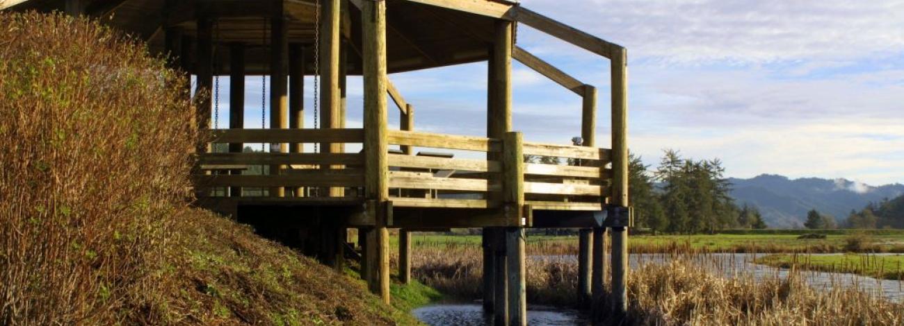 A wildlife lookout on public lands