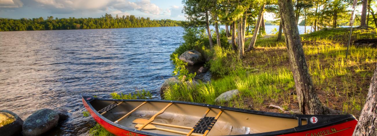 A red canoe sits on the shore of Lake Vermilion in tall green grass next to pine trees. Additional pine trees are across the lake. The sky is blue with large white clouds. 