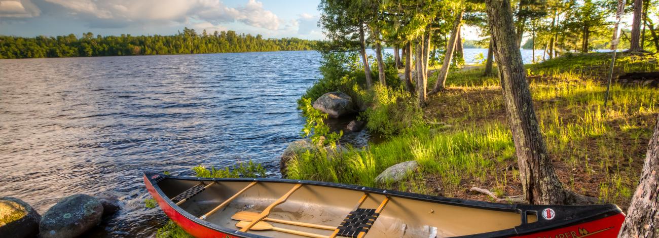 A red canoe sits on the shore of Lake Vermilion in tall green grass next to pine trees. Additional pine trees are across the lake. The sky is blue with large white clouds. 