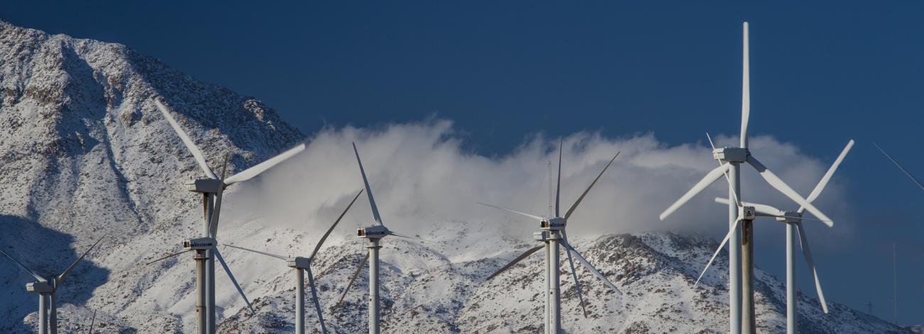 Renewable Energy Development in the California Desert