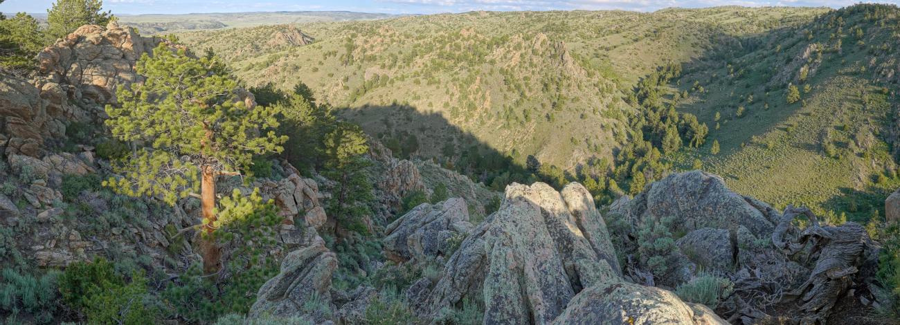 Rocky outcrop on a sunny day overlooking a green vegetative valley