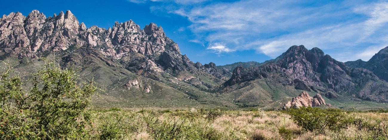 Photo of Organ Mountains