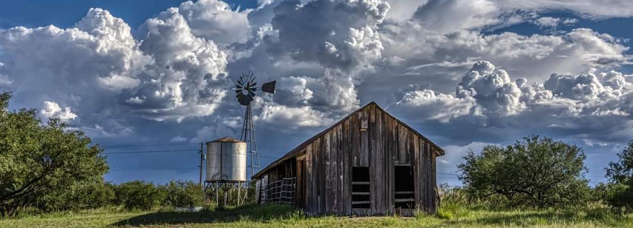 Clouds dot the blue sky at the Las Cienegas National Conservation Area