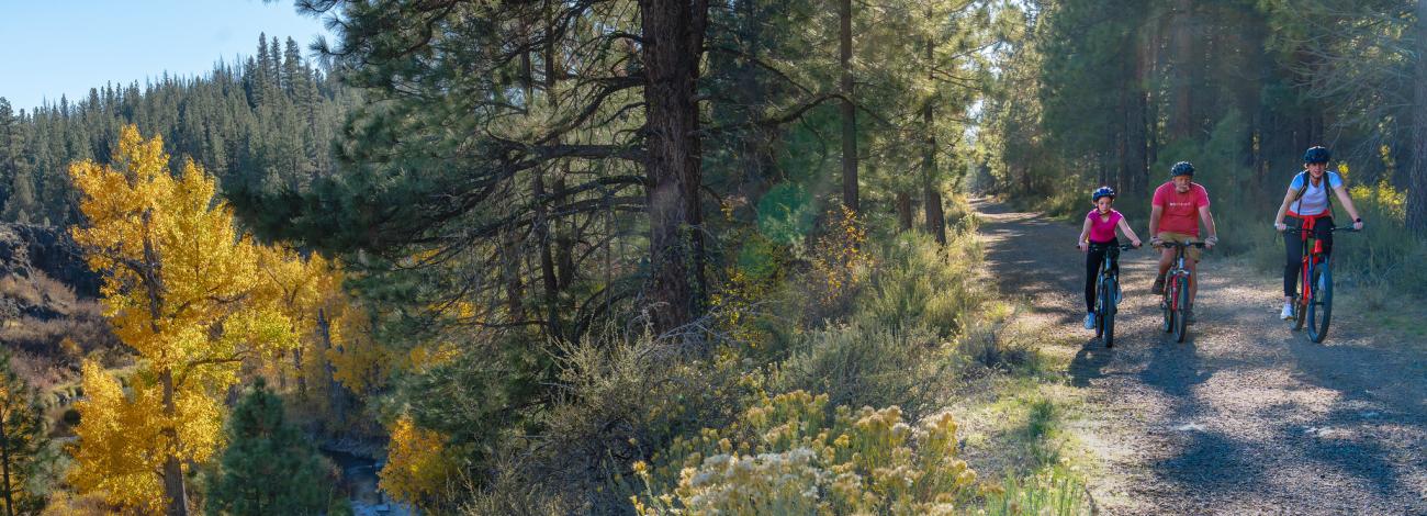 Three people riding bikes on a gravel trail in a wooded area.