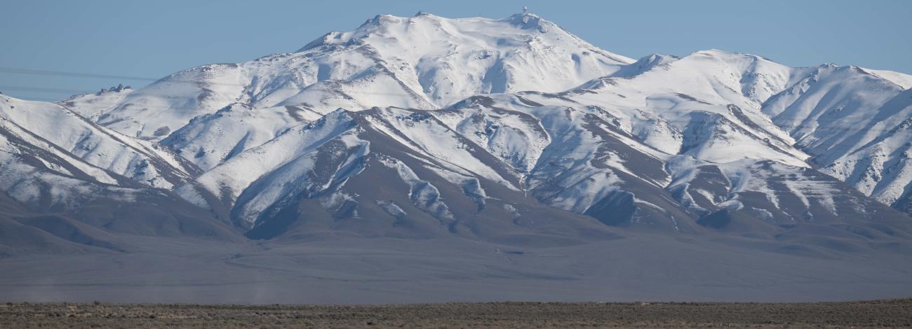 Mount Lewis is seen, covered by snow, on a desert foliage covered horizon.