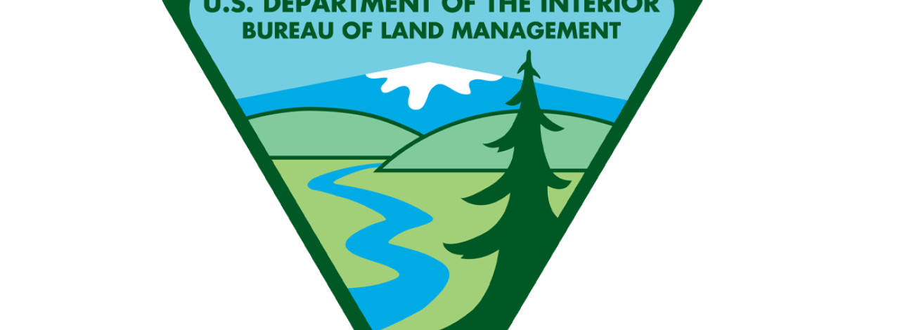 BLM Logo