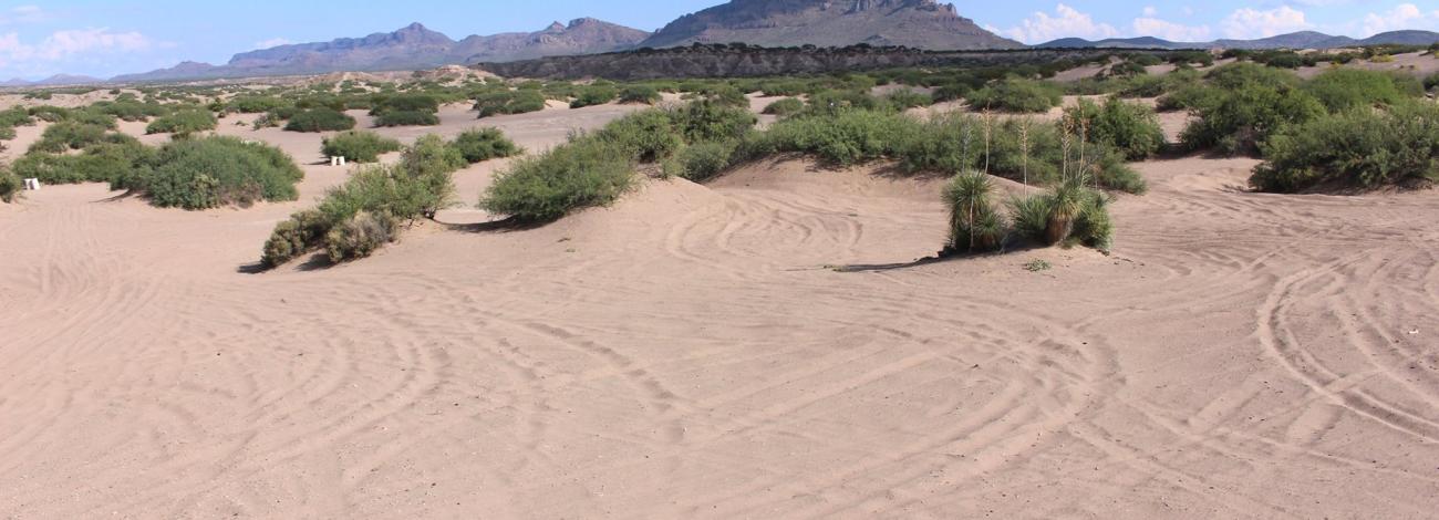 Hot Well Dunes Recreation Area with sandy dunes.