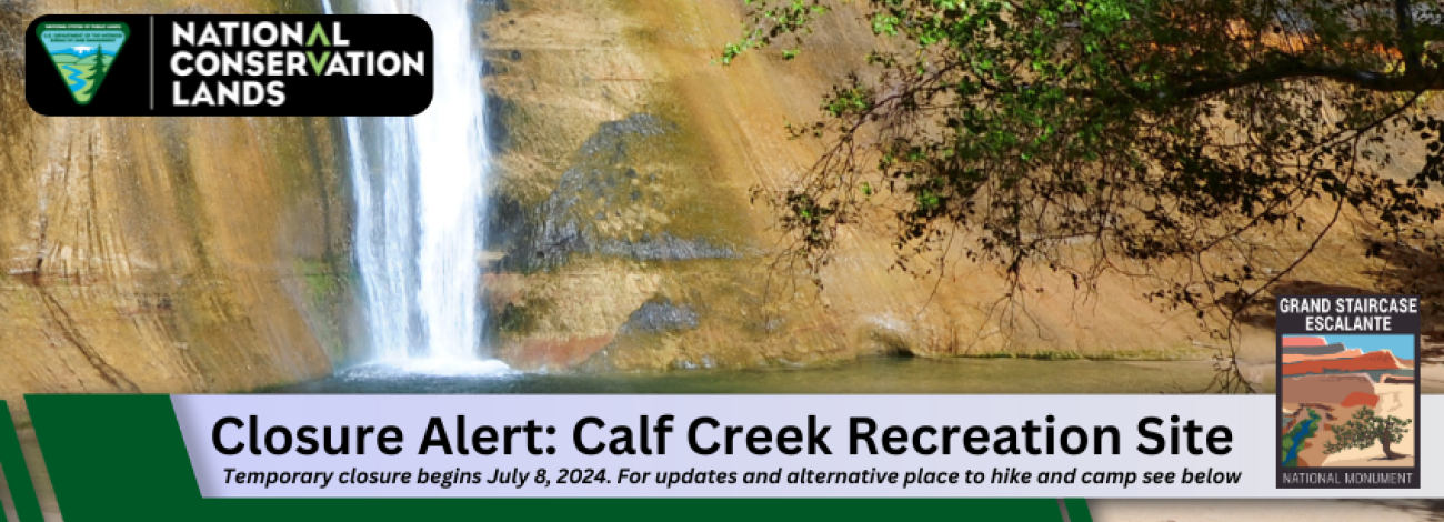 Calf Creek Recreation Site Update 20240611