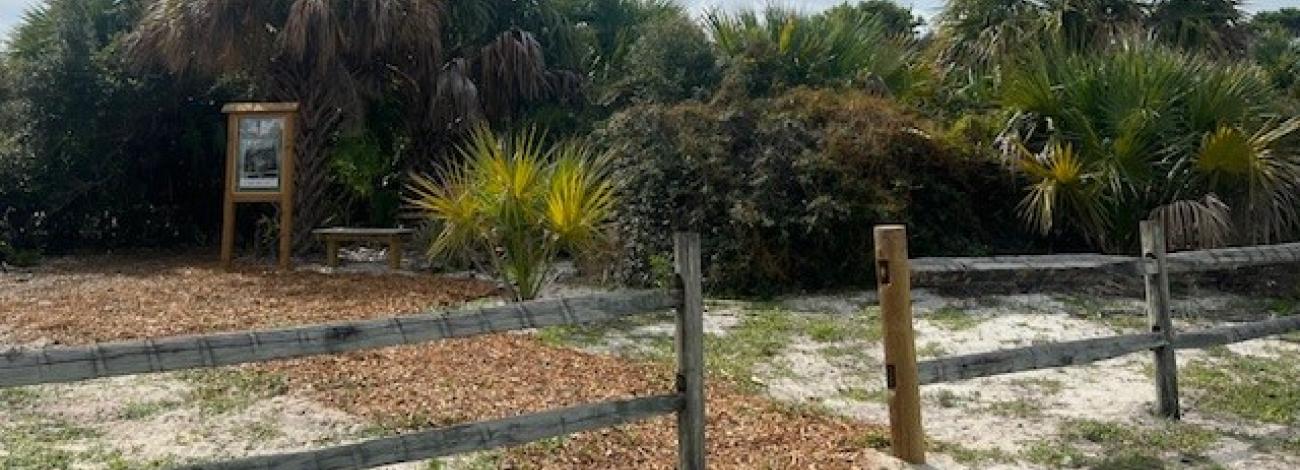 A view of the new walking trail connecting the Jupiter Ilet Lighthouse ONA to the village of Tequestra, Florida