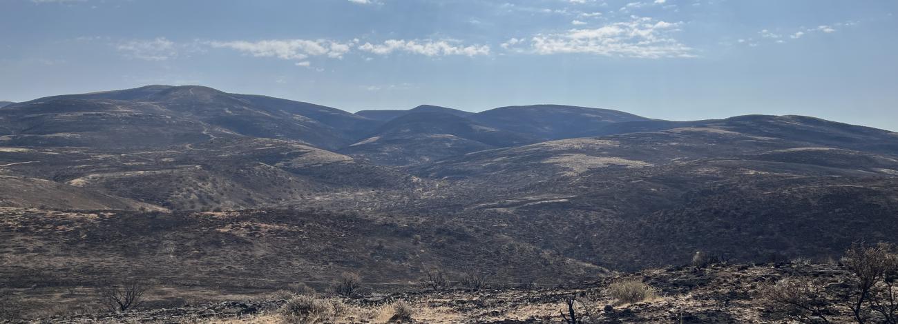 Herd Management Area burned from the Paddock Fire. 