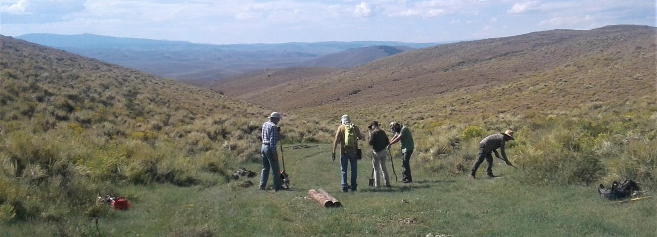 Volunteers perform trail work on Signal Peak Trail System near Gunnison, CO.