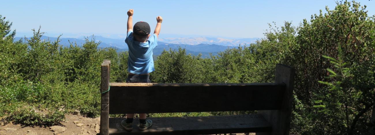 A child standing on a bench at a scenic overlook.