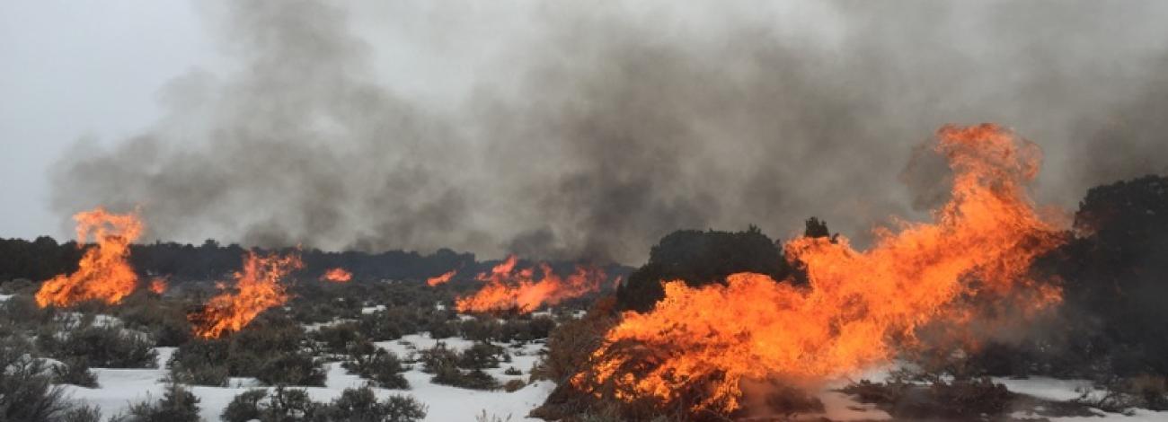 Prescribed burning taking place in the high desert district with snow on the ground and smoke and fire in the sky