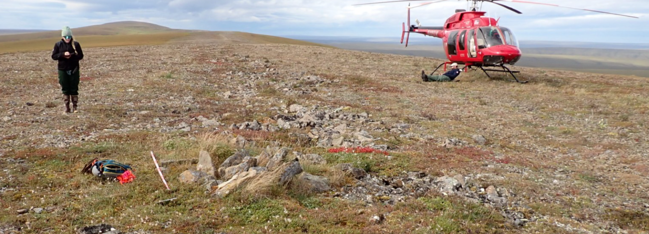 An archaeologist surveys a remote Alaskan site. 