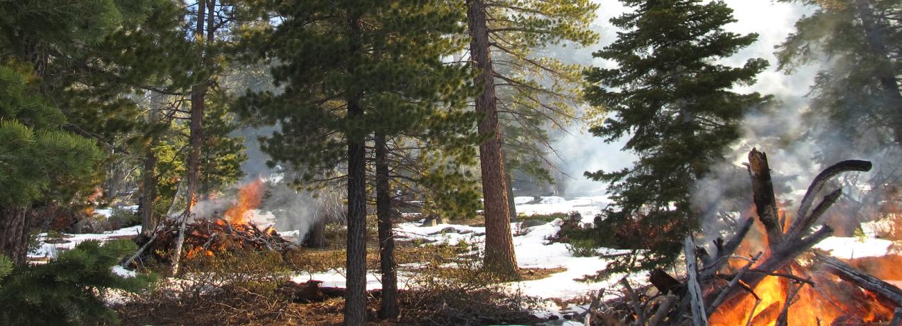Two burning piles of wood at Lake Tahoe Nevada State Park Hazardous Fuels Reduction Project at Sand Harbor