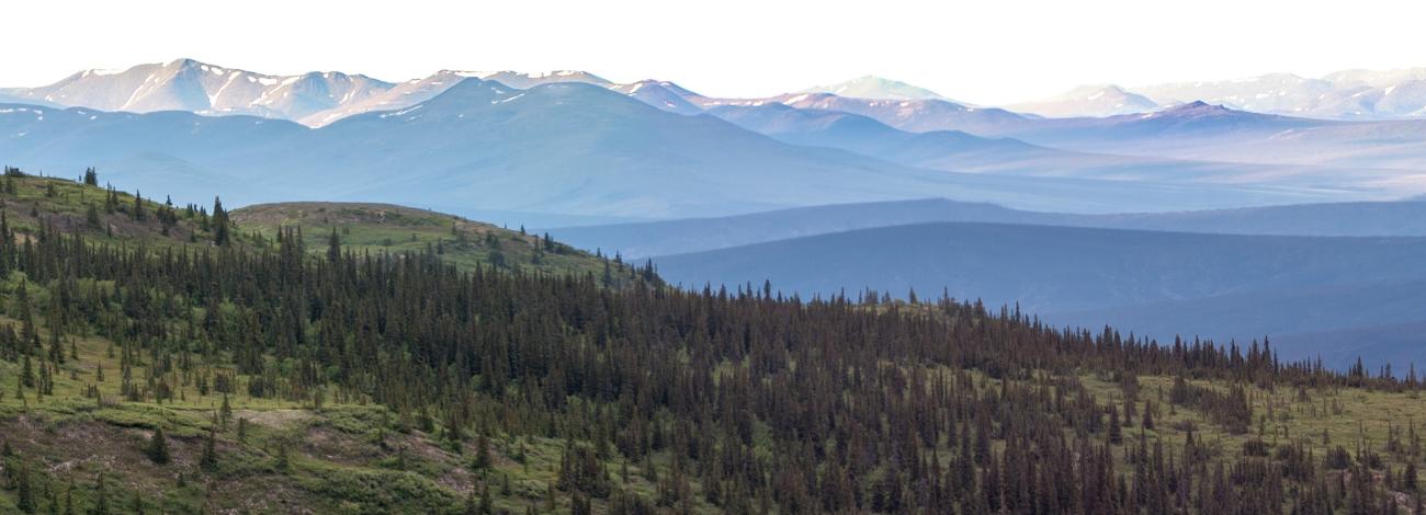 Late night view of the White Mountains from the Summit Trail a few miles past the Summit Trail Shelter, White Mountains National Recreation Area, Alaska. Sled Dog Rock is visible on the ridge in the distance on the extreme right.