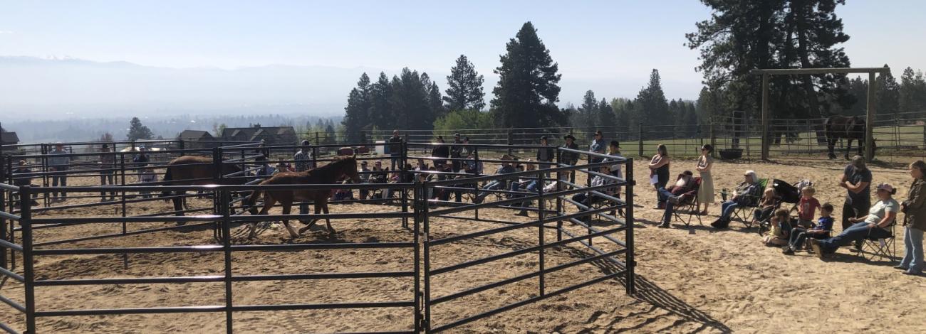 a photo of spectators watching a horse clinic outside of a round pen