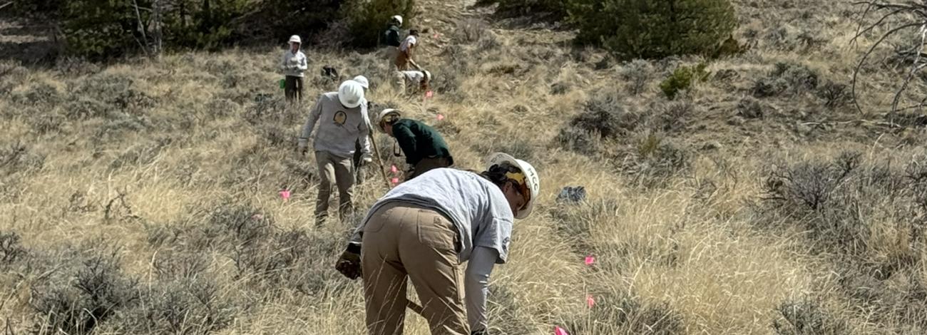 Photo of people performing maintenance on a dirt road