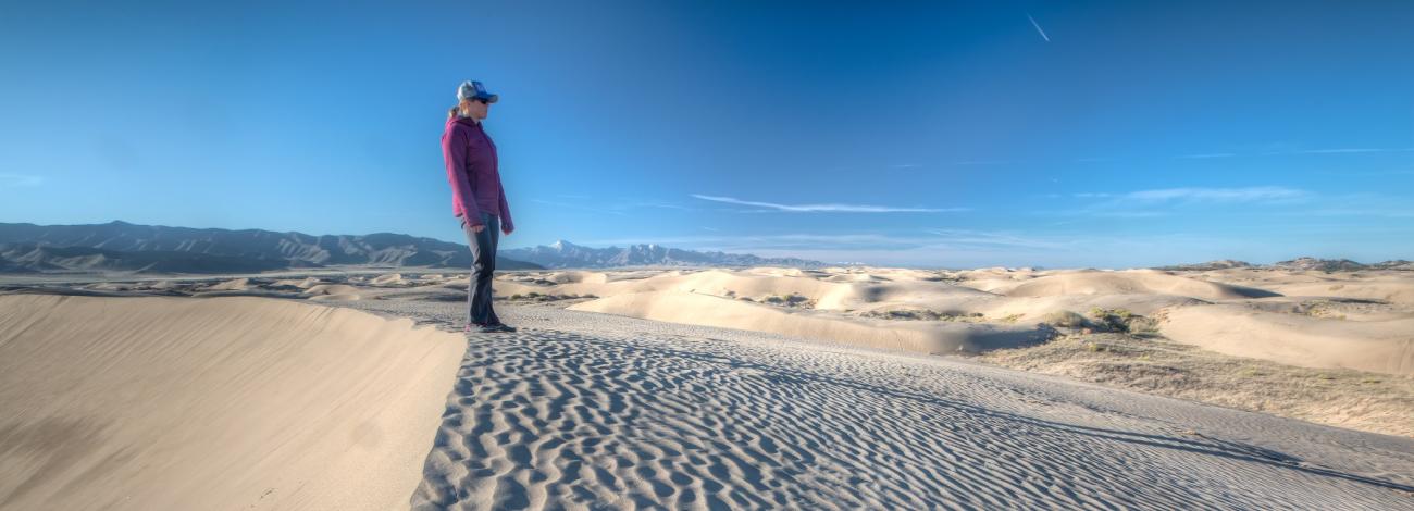a visitor stands observing the dunes of Little Sahara Recreation Area