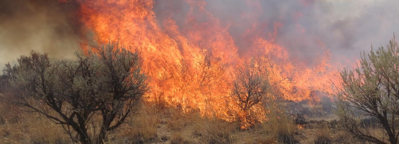 landscape on fire with smoke and flames