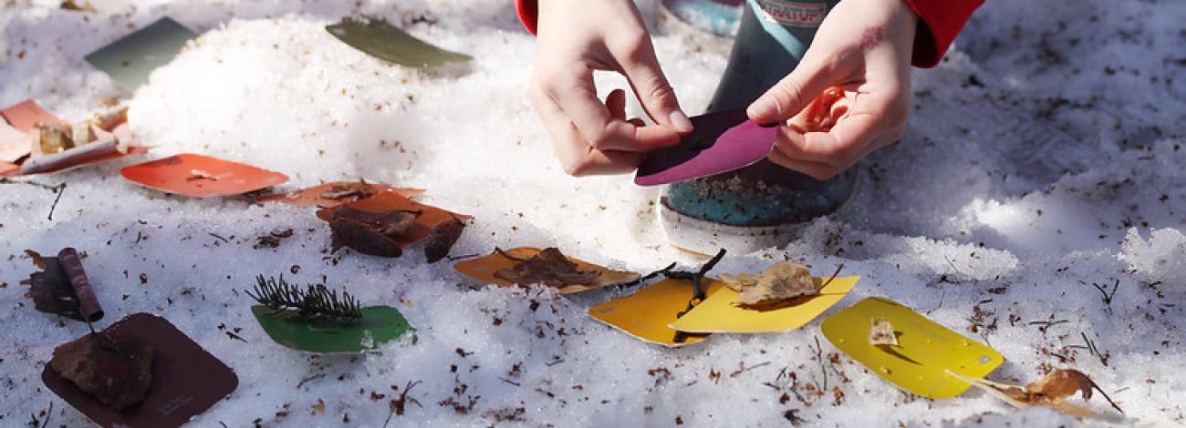 Person places nature items on color swatches on snowy ground
