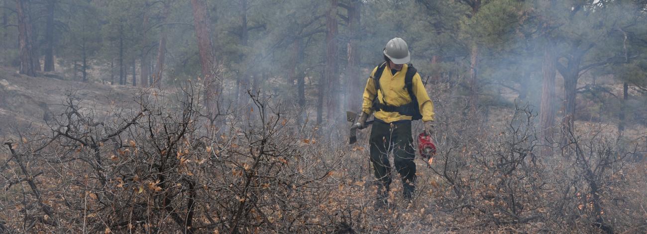 Wildland firefighter conducting a prescribed burn in Ray Mesa in 2021 with a drip torch on brush area in Utah
