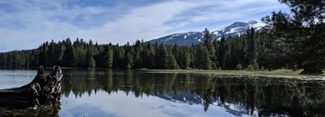 A lake in the mountains surrounded by pine and fir trees.