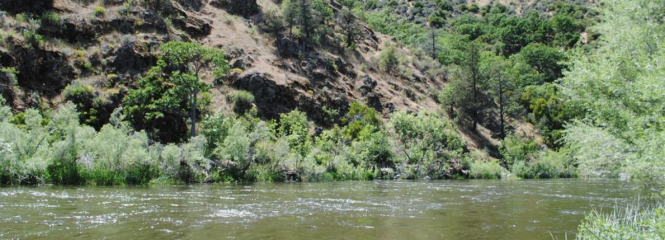 Klamath River with scenery in background.