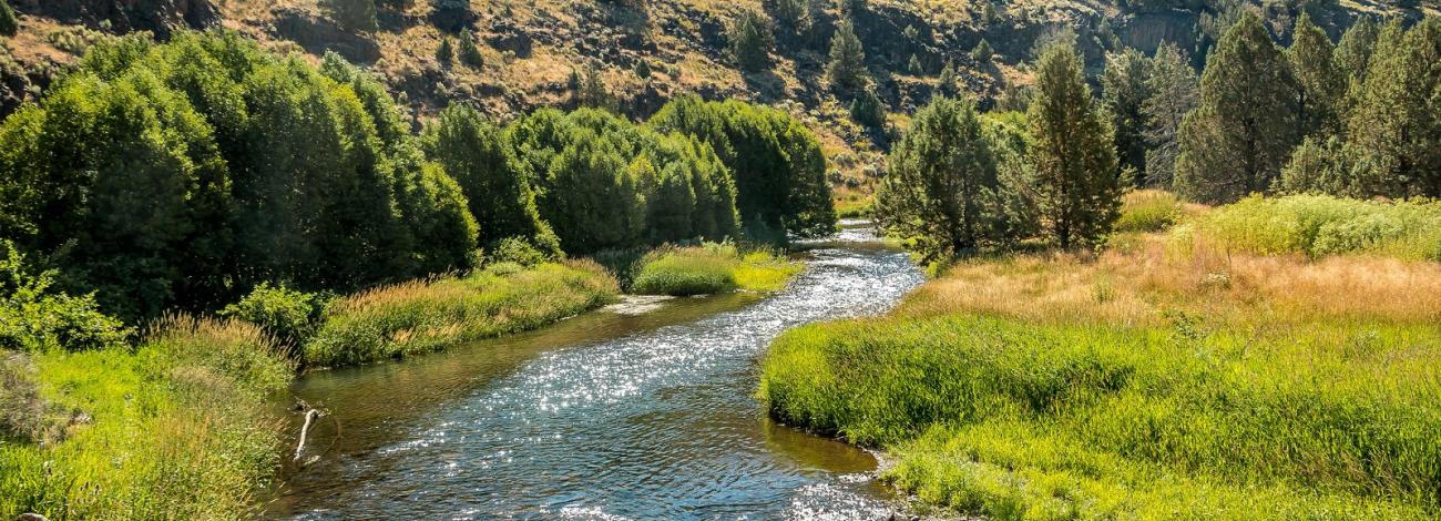 bend in the river with trees on a hillside