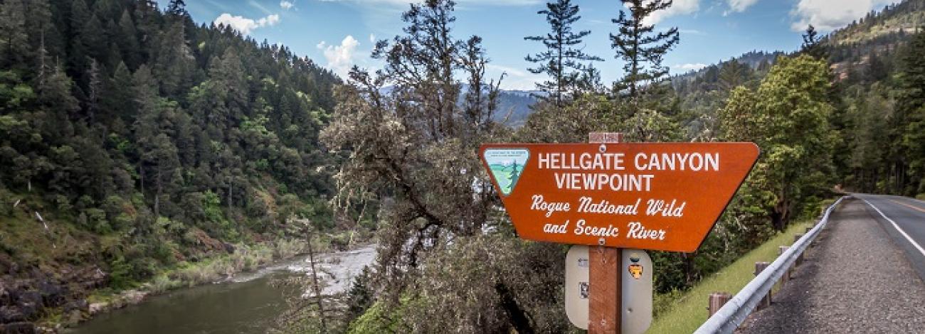 ncls-wsa-orwa-rogue-hellgate