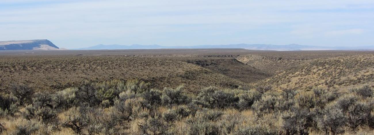 Wilderness Study Area