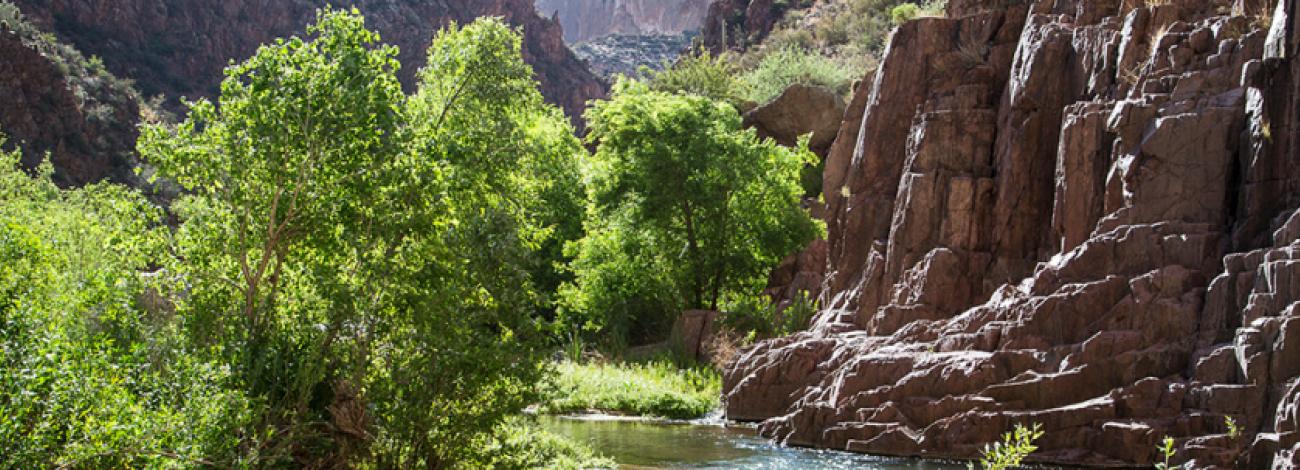 The river winding its way past a steep cliff face on one side with green trees on the other