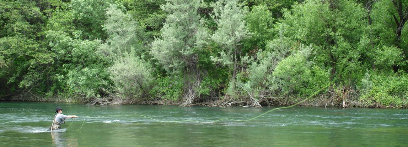 An angler tries his luck fly fishing on the Trinity Wild and Scenic River. Photo by BLM.